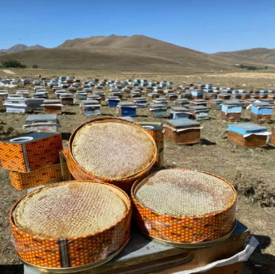 BALLI GİRESUN FINDIĞI EZMESİ 200 Gram